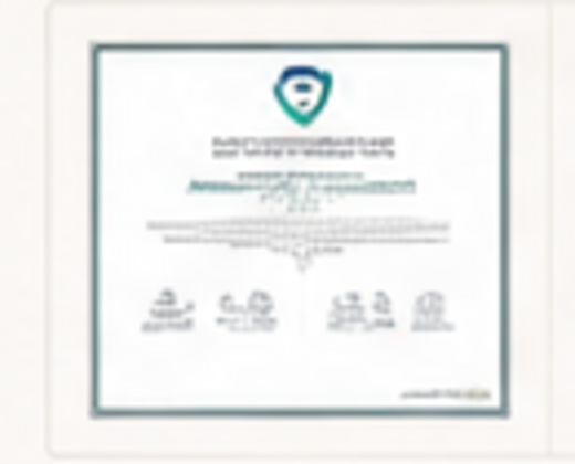 Preview of the supplied SAIP intellectual property registration certificate